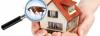 Four Causes to Warrant Summertime since the Time of Pests