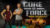 http://www.goldenhealthyreviews.com/core-de-force-mma-workout/