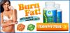 Diet for Burn Fat @ http://phytolyft.com/earth-leaf-garcinia-cambogia/