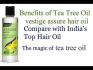 http://healthprofithub.com/assure-hair-reviews/