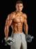 http://www.tripforgoodhealth.com/rapiture-muscle-builder-se/