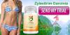 Zylexitrim Garcinia-Lose Bally Fat Fastly