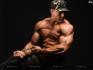 Dirty Facts About Best Muscle Mass Revealed