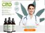 What Is Essential CBD Extract?