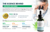 5 Tips For Peace CBD Oil Success