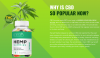 Are Zenzi Hemp Gummies Australia 100% non-cherishing trim guaranteed CBD chewy sweet treats?