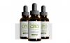 How does the Essential CBD Extract oil work?