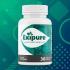 Exipure  Must Read Before Buy?