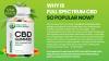 What I Wish Everyone Knew About Boulder Highlands CBD Gummies.