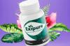 Why Need Exipure Pills and Benefits?