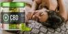 Condor CBD Gummies Review [Shark Tank Price 2022] Scam Alert!! Read Side Effects!