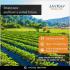 10 acre plot for sale near gulbarga | Jaykay infra