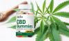 Where to purchase Choice CBD Gummies?