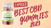Bite into Calm: Exploring the Benefits of Rejuvenate CBD Gummies