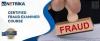 Certified Fraud Examiner course in India - Netrika Consulting