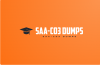 Ace Your SAA-C03 Exam: The Importance of Dumps and Questions