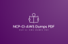 Pass NCP-CI-AWS Exam Quickly with DumpsBoss PDF Dumps